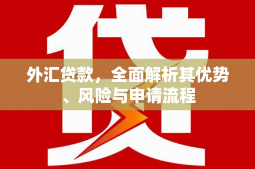 万荣外汇贷款，全面解析其优势、风险与申请流程