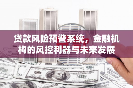万荣贷款风险预警系统，金融机构的风控利器与未来发展
