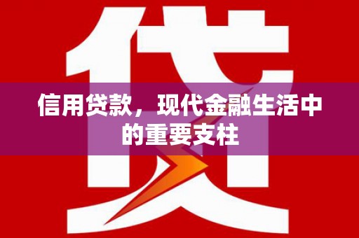 万荣信用贷款，现代金融生活中的重要支柱