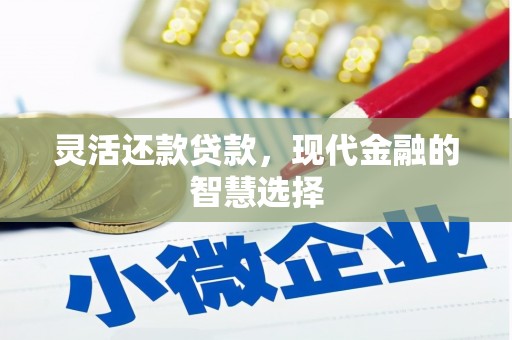 万荣灵活还款贷款，现代金融的智慧选择