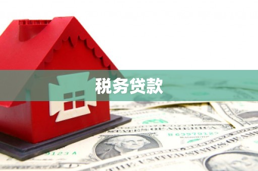 万荣税务贷款