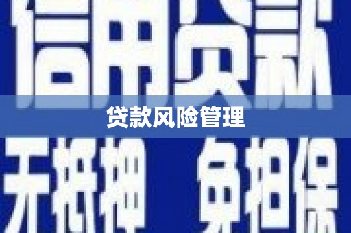 万荣贷款风险管理