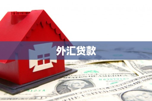 万荣外汇贷款