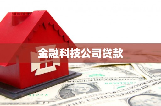 万荣金融科技公司贷款