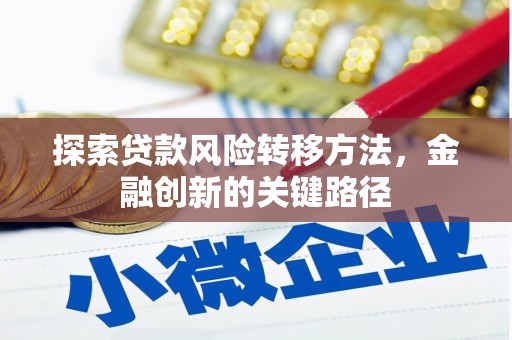 万荣探索贷款风险转移方法，金融创新的关键路径