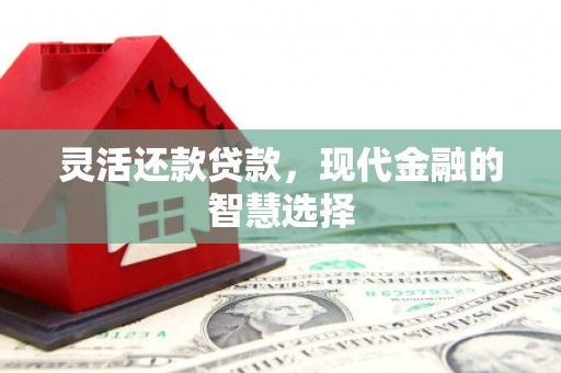 万荣灵活还款贷款，现代金融的智慧选择