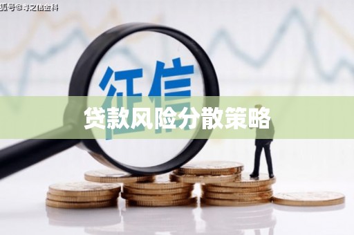 万荣贷款风险分散策略