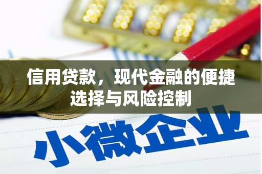万荣信用贷款，现代金融的便捷选择与风险控制