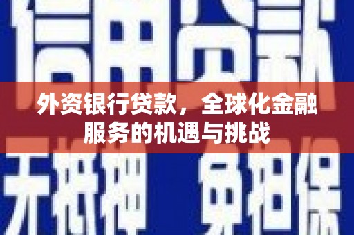 万荣外资银行贷款，全球化金融服务的机遇与挑战