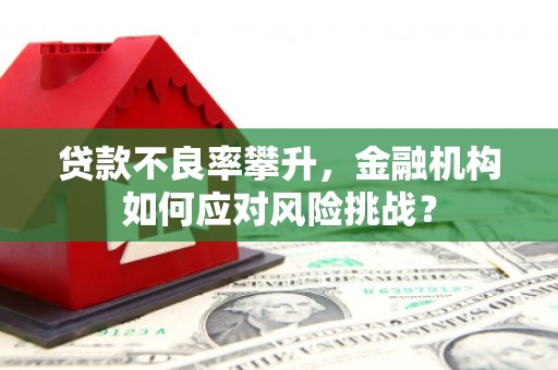 万荣贷款不良率攀升，金融机构如何应对风险挑战？