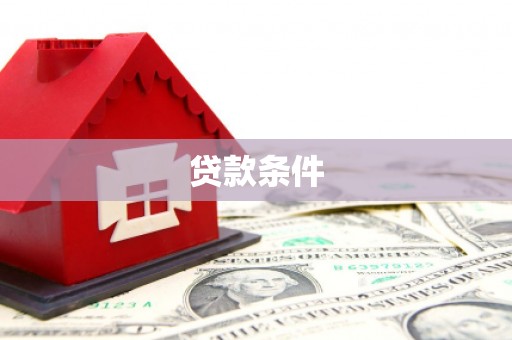 万荣贷款条件