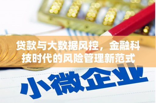 万荣贷款与大数据风控，金融科技时代的风险管理新范式