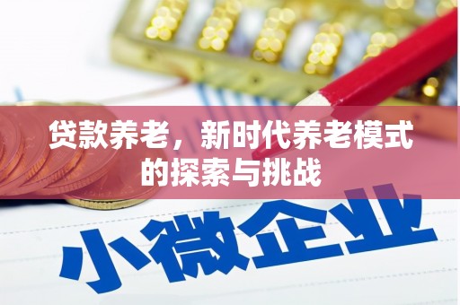 万荣贷款养老，新时代养老模式的探索与挑战