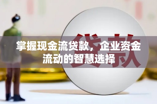 万荣掌握现金流贷款，企业资金流动的智慧选择