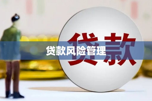 万荣贷款风险管理