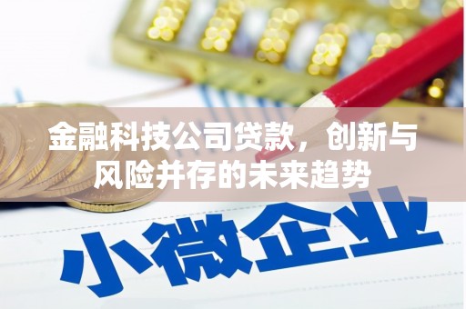 万荣金融科技公司贷款，创新与风险并存的未来趋势