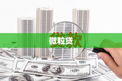 万荣微粒贷