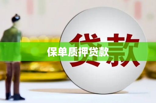 万荣保单质押贷款