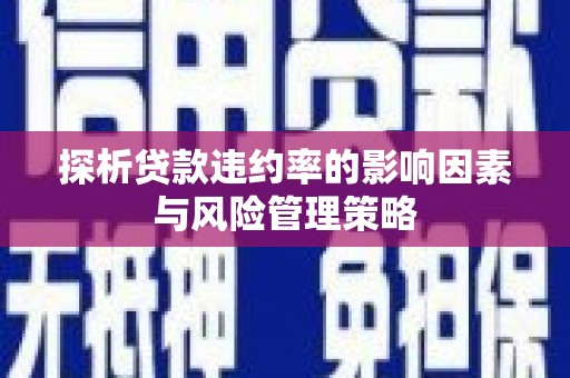 万荣探析贷款违约率的影响因素与风险管理策略