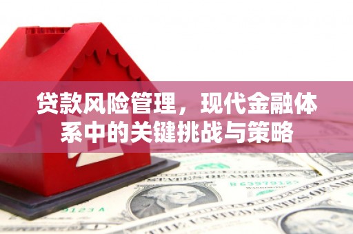 万荣贷款风险管理，现代金融体系中的关键挑战与策略