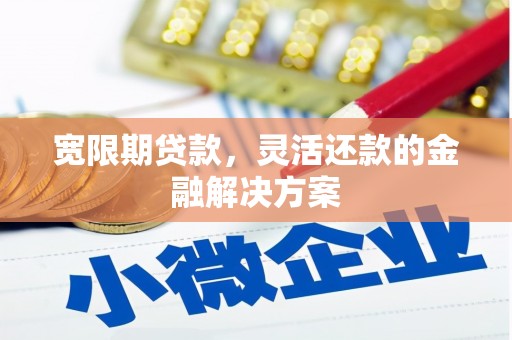 万荣宽限期贷款，灵活还款的金融解决方案