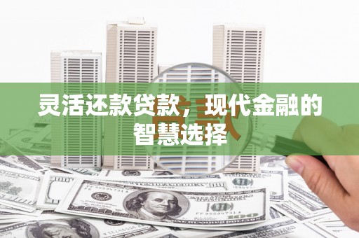 万荣灵活还款贷款，现代金融的智慧选择