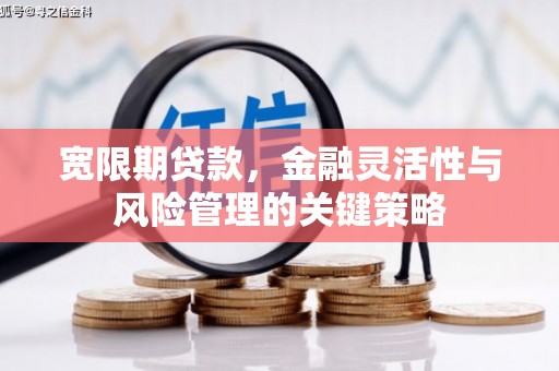 万荣宽限期贷款，金融灵活性与风险管理的关键策略