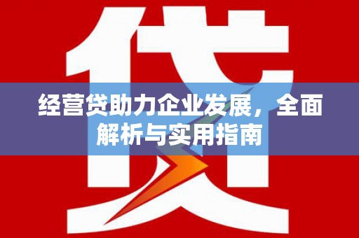 万荣经营贷助力企业发展，全面解析与实用指南