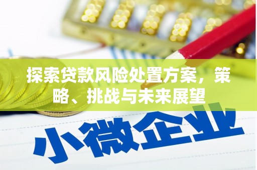 万荣探索贷款风险处置方案，策略、挑战与未来展望