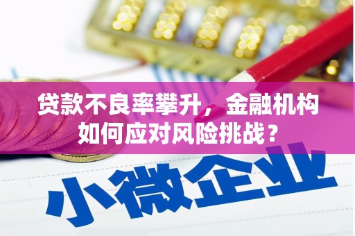 万荣贷款不良率攀升，金融机构如何应对风险挑战？
