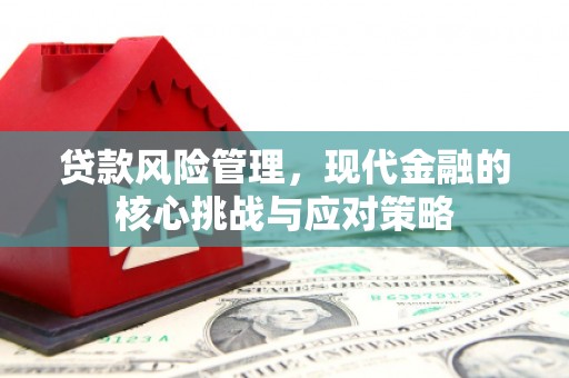 万荣贷款风险管理，现代金融的核心挑战与应对策略