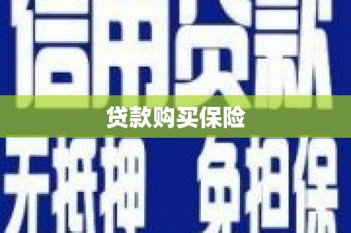 万荣贷款购买保险