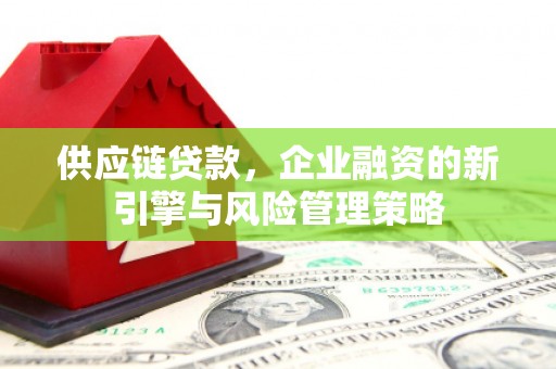 万荣供应链贷款，企业融资的新引擎与风险管理策略