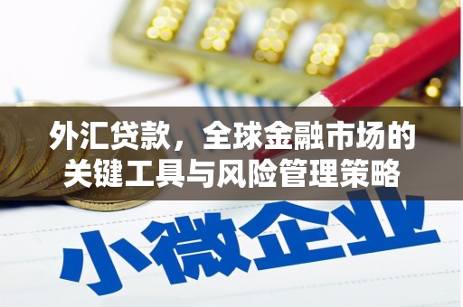 万荣外汇贷款，全球金融市场的关键工具与风险管理策略