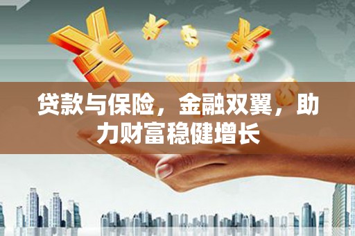 万荣贷款与保险，金融双翼，助力财富稳健增长