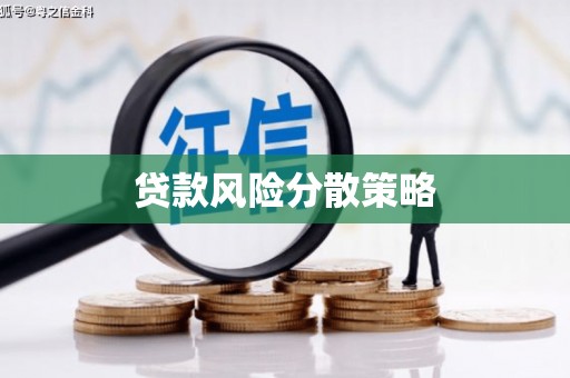 万荣贷款风险分散策略