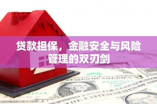 万荣贷款担保，金融安全与风险管理的双刃剑