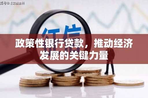 万荣政策性银行贷款，推动经济发展的关键力量
