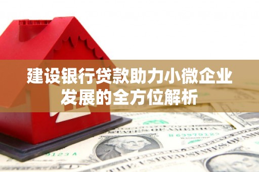 万荣建设银行贷款助力小微企业发展的全方位解析