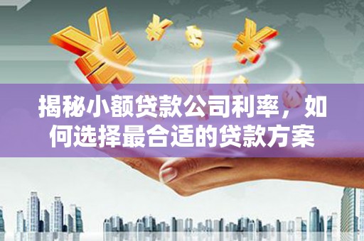 万荣揭秘小额贷款公司利率，如何选择最合适的贷款方案