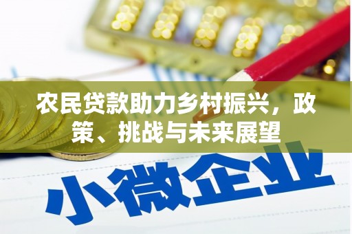 万荣农民贷款助力乡村振兴，政策、挑战与未来展望