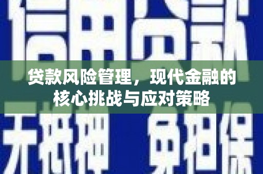 万荣贷款风险管理，现代金融的核心挑战与应对策略