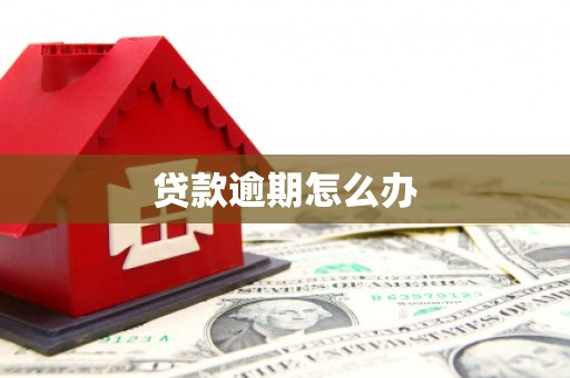 万荣贷款逾期怎么办