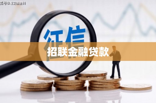 万荣招联金融贷款