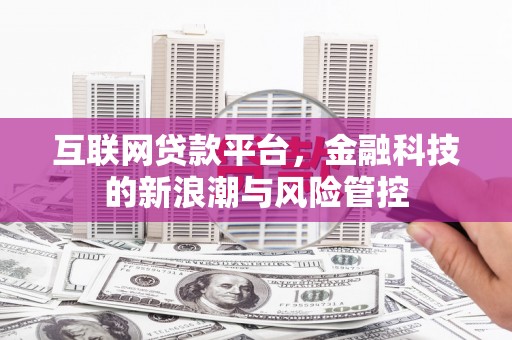 万荣互联网贷款平台，金融科技的新浪潮与风险管控