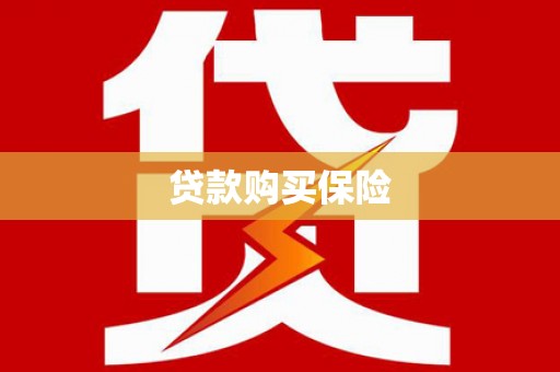 万荣贷款购买保险