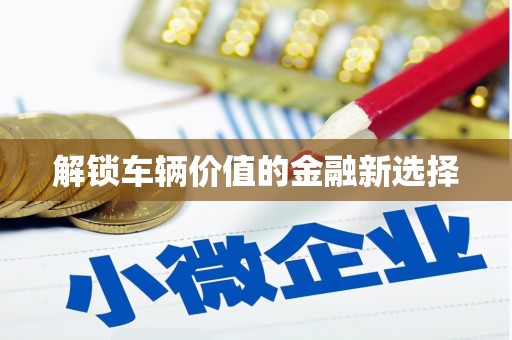 万荣解锁车辆价值的金融新选择