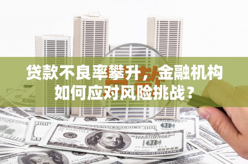 万荣贷款不良率攀升，金融机构如何应对风险挑战？