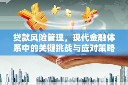 万荣贷款风险管理，现代金融体系中的关键挑战与应对策略