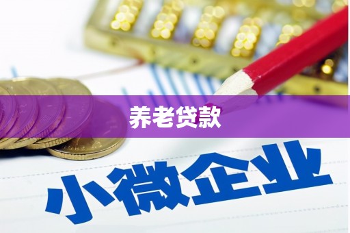 万荣养老贷款